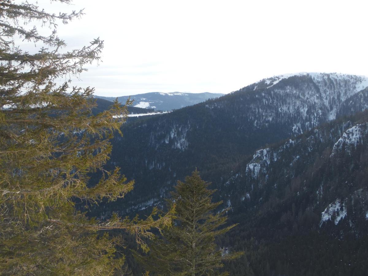 Gite Du Silberwald Charmant Gite Avec Spa - Jacuzzi , Acces Privatif Stosswihr Exteriér fotografie